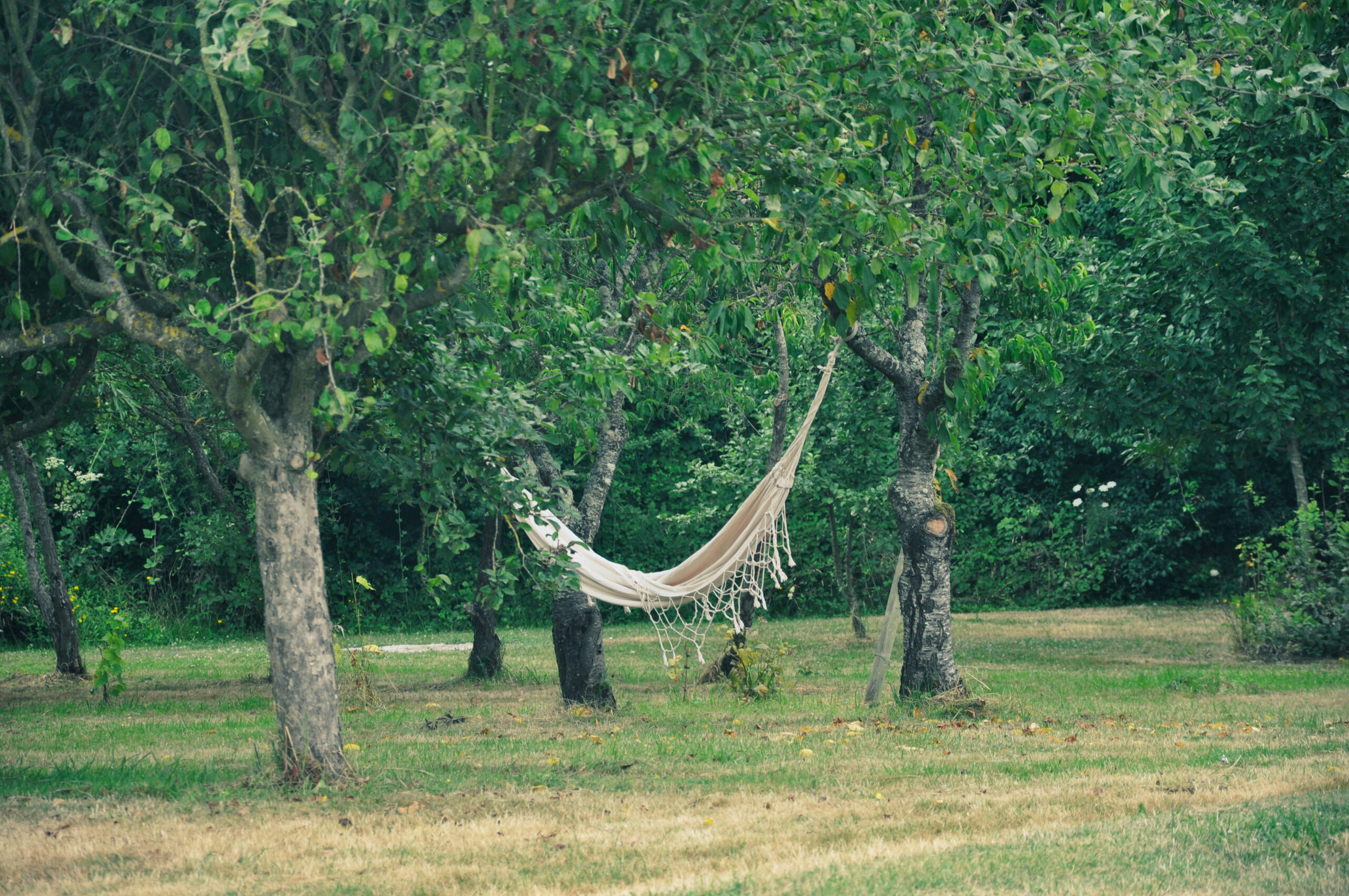 Un hamac suspendu entre des arbres.